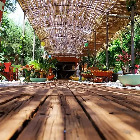 Appartement 9 Mouses Filiatra