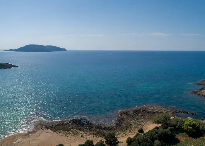 9 Mouses * Filiatrá